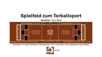 Es ist eine Grafik mit vielen Details zum Spielfeld beim Torball zu sehen.