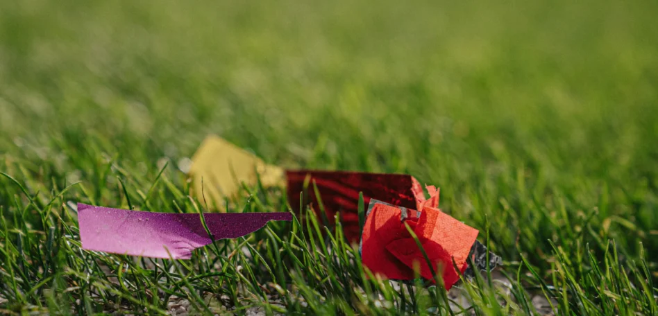 Man sieht Fetzen von Krepppapier-Luftschlangen aus einer Konfetti Kanone auf dem Rasen liegen